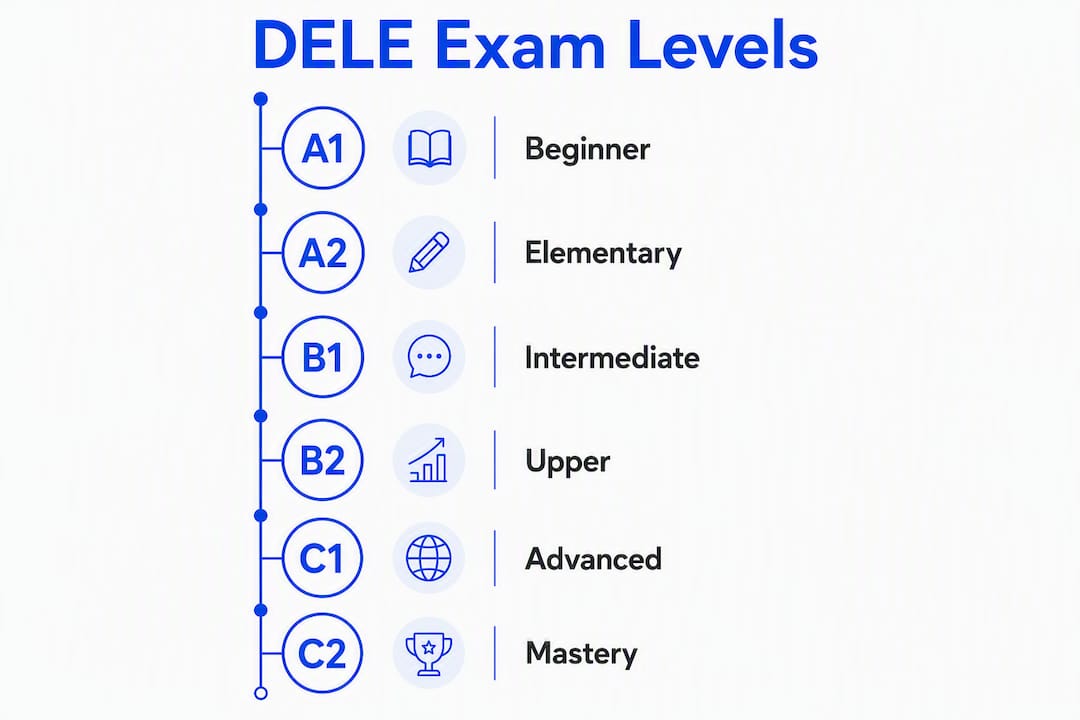 Infographic showing DELE exam levels hierarchy